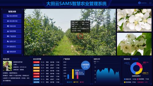 大田智慧農(nóng)業(yè) 1.28億元數(shù)字化服務(wù)，筑牢農(nóng)產(chǎn)品安全生產(chǎn)新防線